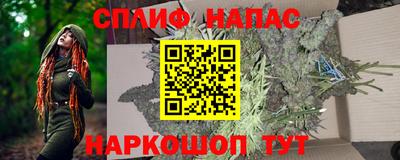 шишки Обь