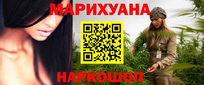 шишки Обь