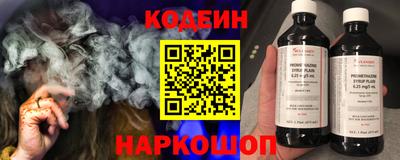 шишки Обь