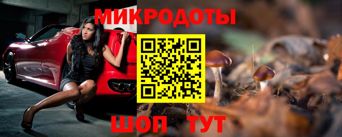 Галлюциногенные грибы Cubensis Тайшет