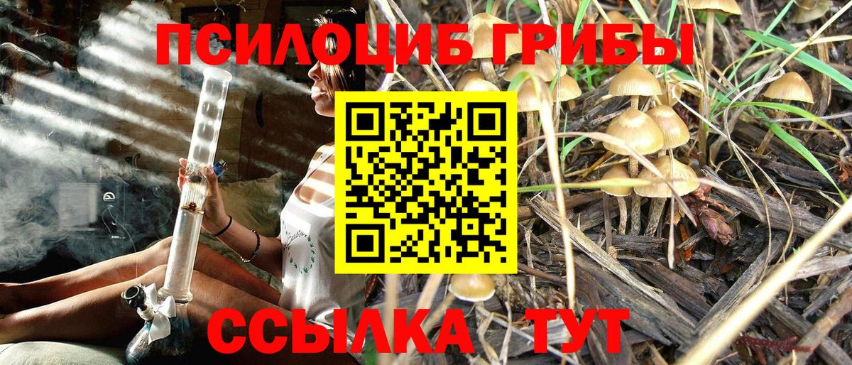 Конопля Тайшет